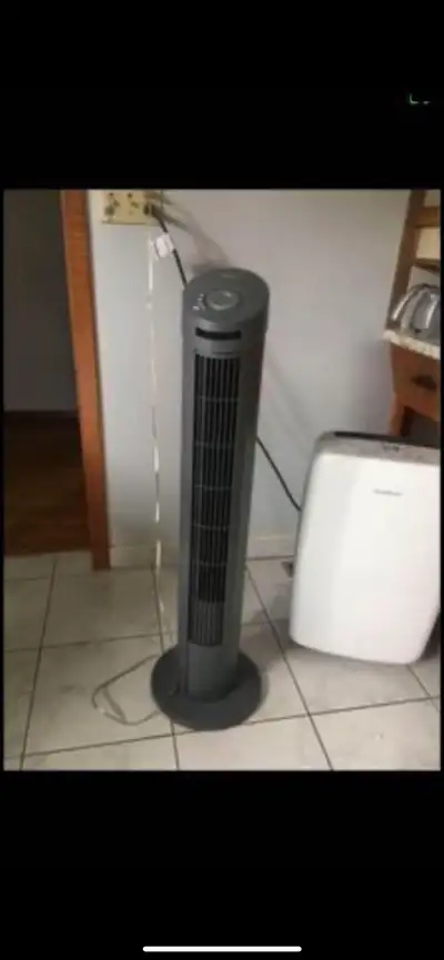 Fans each is $50, View more
