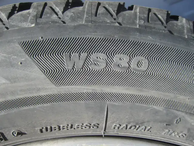 BMW E46 Winter Wheels and Tires | Tires & Rims | Winnipeg | Free local ...