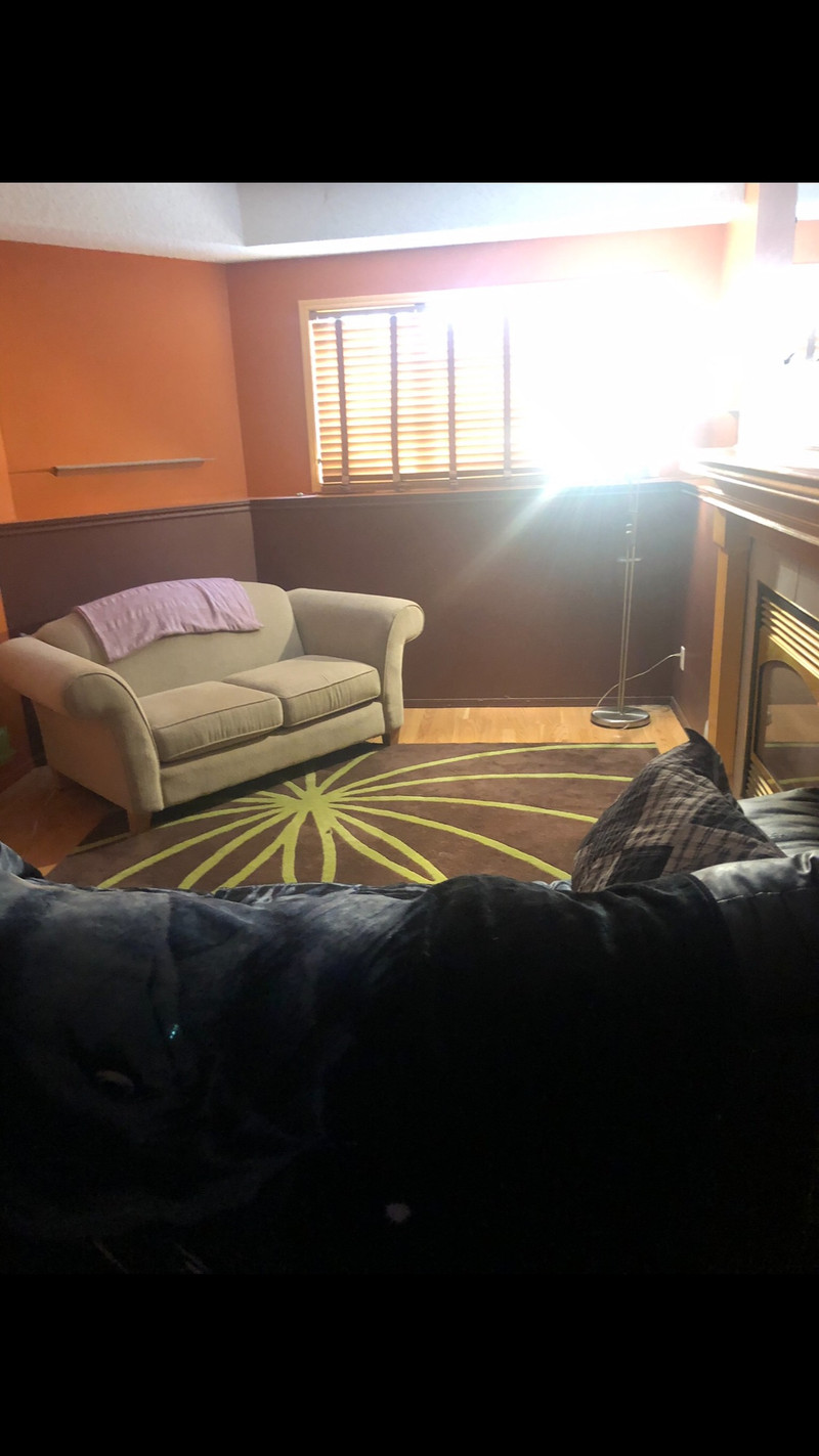 SHERWOOD PARK SPACIOUS BASEMENT SUITE FOR RENT Long Term Rentals