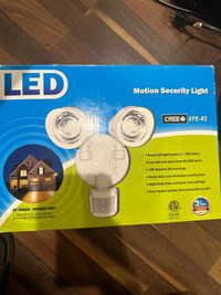 Motion security light