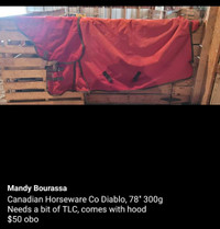 Multiple horse Turnout blankets available 