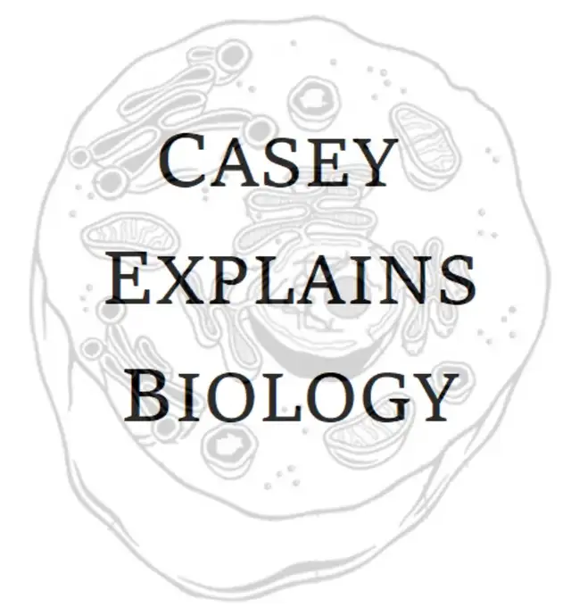Biology Tutoring
