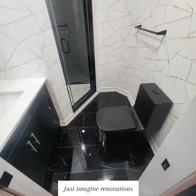 Professional Bathroom Renovation Services587371280419399681
