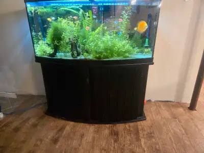 fish tank full set up, View more