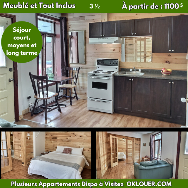 APPARTEMENT 1 CHAMBRE 3 1/2  MEUBLÉ-TOUT INCLUS, CENTRE VILLE