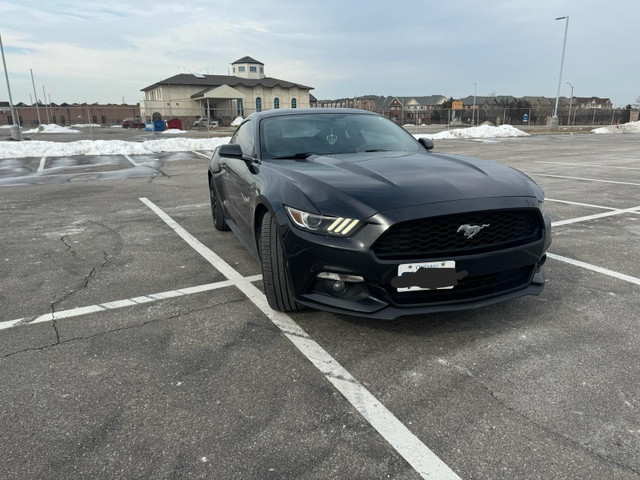 Mustang for sale in Cars & Trucks in Mississauga / Peel Region - Image 3