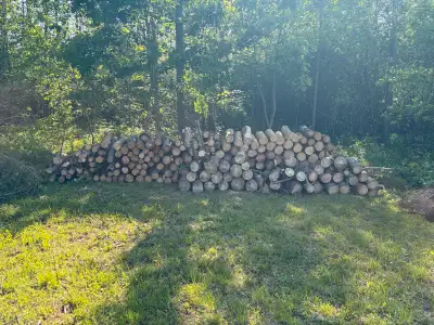 free wood, View more