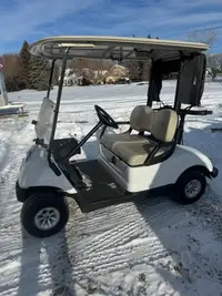 2016 Electric Yamaha Golf Cart - $6,500