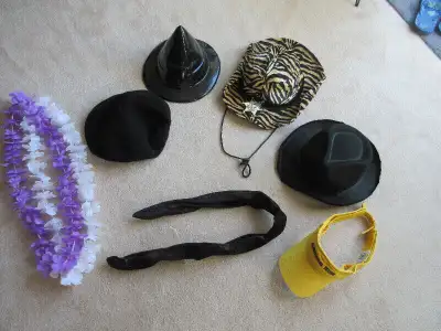 2- Hats- $1 each 3-Cat tail and garlands $1each