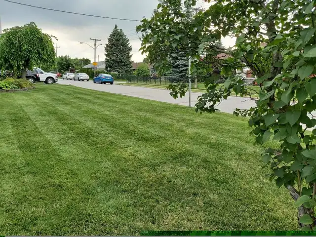 Lawn Care Pickering in Other in Oshawa / Durham Region - Image 4