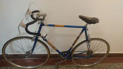 70’s Classic  DAWES “REALMRIDER”  Road/Touring /Commuter bicycle, View more