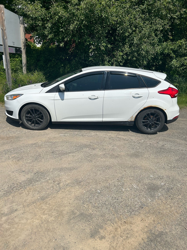 2016 ford focus se hatchback in Cars & Trucks in Ottawa - Image 2