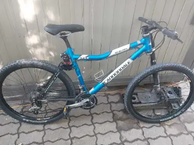 Carbon fiber Cannondale Lefty, View more