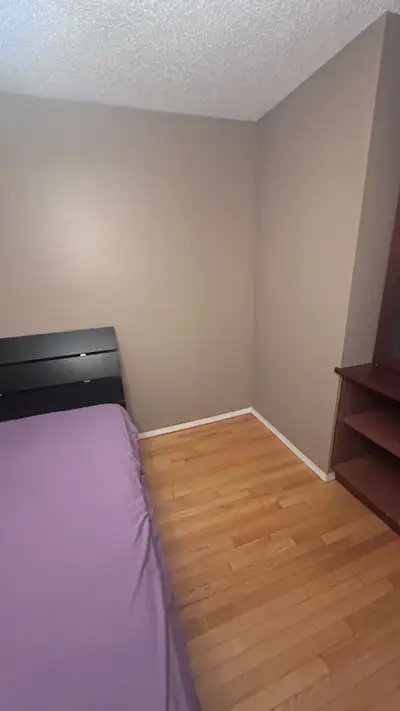 One room available for rent on the main floor in a shared space in Lakeshore Crt. •Available right n...