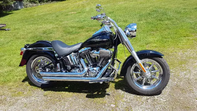 2006  Harley Davidson Fatboy in Street, Cruisers & Choppers in Saint John - Image 2
