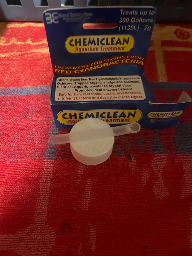 Chemiclean  in Fish for Rehoming in Kingston - Image 3