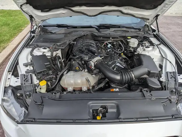 2017 MUSTANG EXCELLENT CONDITION580120386659297285