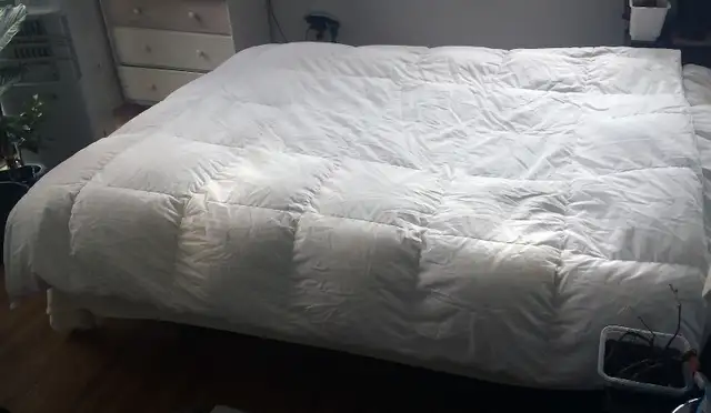 Goose Down Duvet Queen Size in Bedding in Ottawa - Image 4