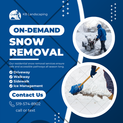 ON DAMAND SNOW REMOVAL, View more