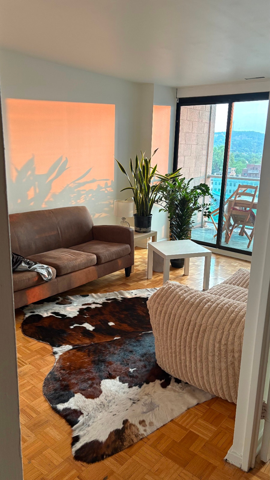 3½ Apartment Lease Transfer – Available October 1, 2026 — photo 2