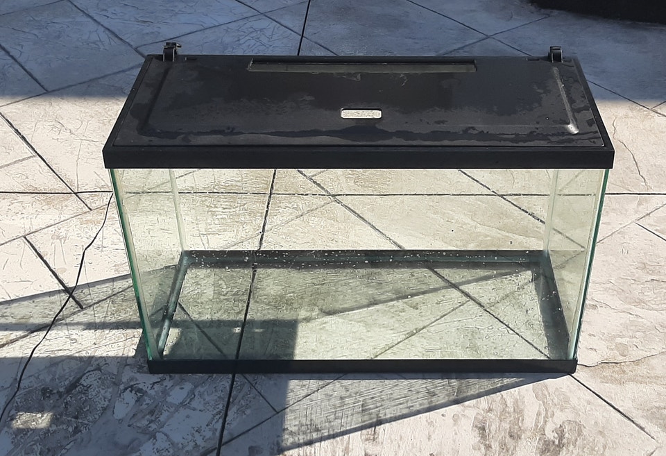 30 Gallon Fish Tank | Fish for Rehoming | London | Free local ...