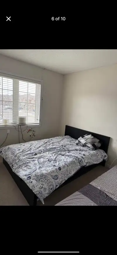 Room available from 1 July