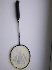 2 Raquettes de badminton CARLTON Badminton Rackets