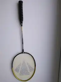 2 Raquettes de badminton CARLTON Badminton Rackets