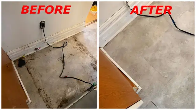 Professional Cleaner607293932653793284