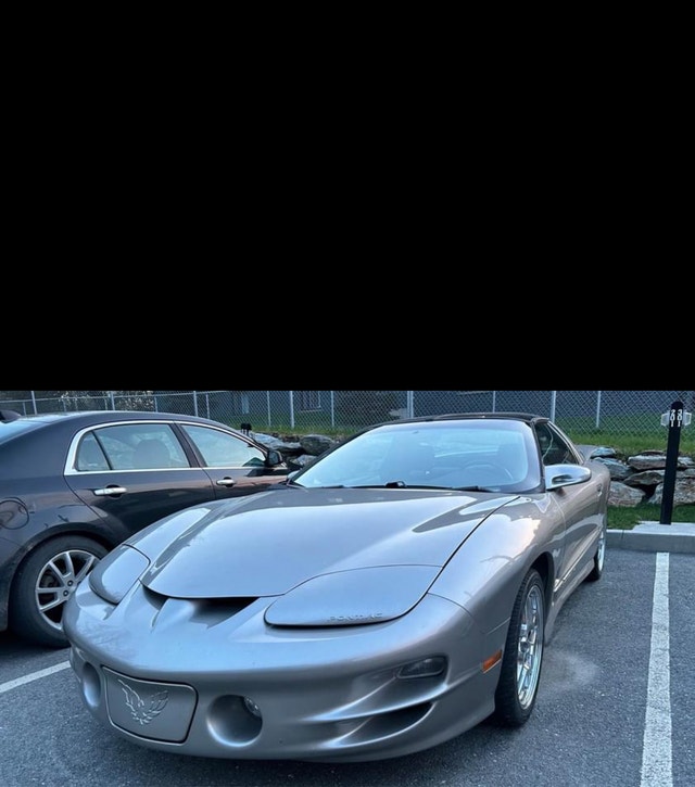 2002 Pontiac firebird — photo 2