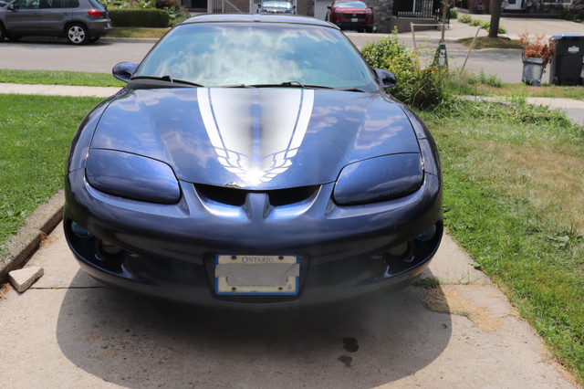 2002 PONTIAC FIREBIRD TRANS AM 5 SPEED MANUAL /T-ROOFS VINTAGE in Cars & Trucks in Mississauga / Peel Region - Image 2