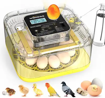 TRIOCOTTAGE Incubators for Hatching Eggs, 12 EGG, View more