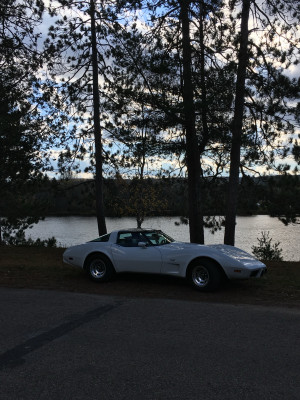 1979 Chevrolet Corvette