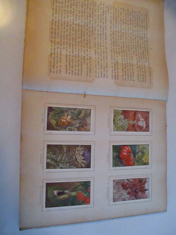 HERFST-JAC. P. THIJSSE-1908 DUTCH STICKER ALBUM-PLANTS-INSECTS+ dans Art et objets de collection  à Laval/Rive Nord - Image 4
