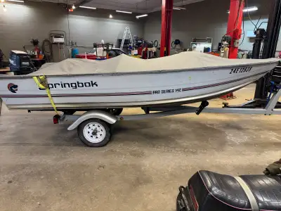 1989 Mercury 20 electric start, live well, Scotty rod holders, fish finder, water pump last year, mo...