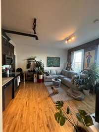 Looking for a roommate - May 1st