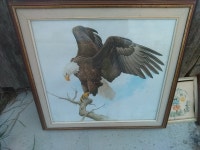 Paintings and pictures