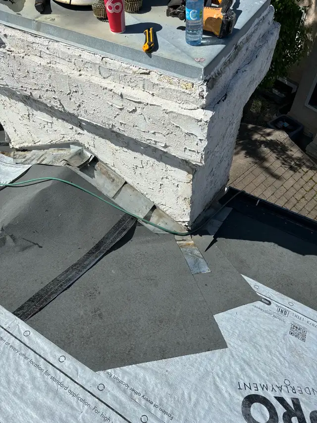 PROFESSIONAL ROOFING SERVICES / RLK PRO SERVICES LTD.521699848020961287