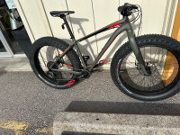 Specialized fat boy