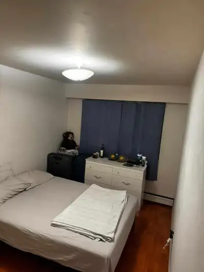 Looking for a male roommate