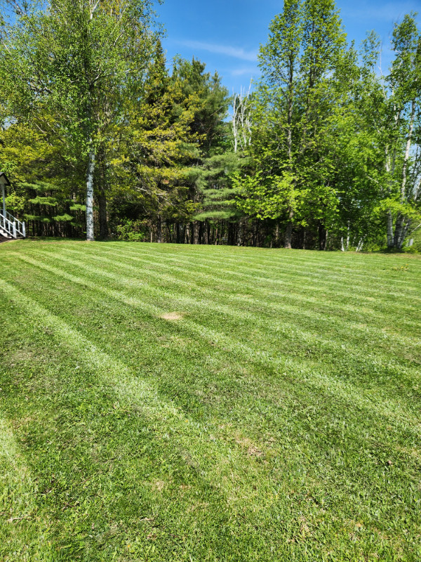 Lawn Care, Maintenance and Handy Man Services Available!!!! in Lawn, Tree Maintenance & Eavestrough in Fredericton