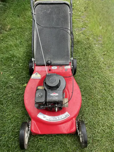 gas lawn mower, View more