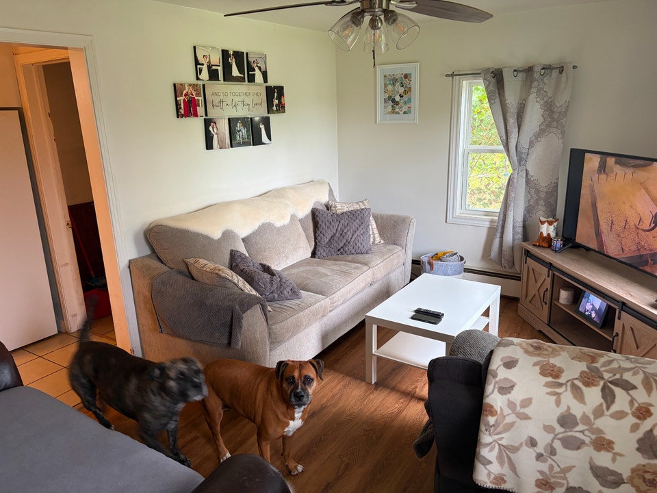 3 Bedroom House for Rent 1.5 Acres 1