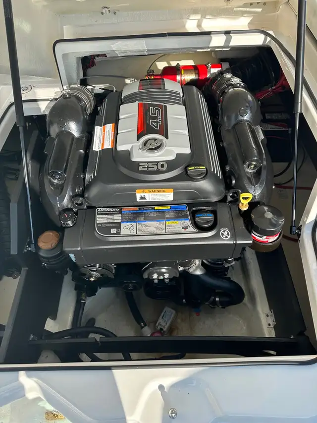 2022 Regal 2000 ESX in Powerboats & Motorboats in Saint John - Image 4