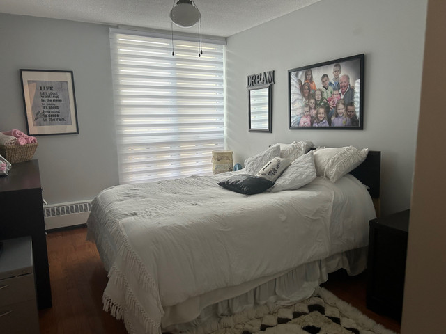 Condo 2 bedrooms plus Murphy bed  in Real Estate in Kitchener / Waterloo - Image 2