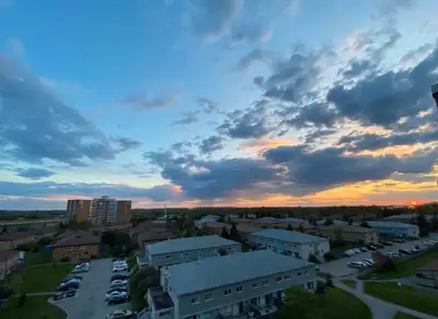 1 bed 1 bath apartment near bayshore mall including utilities.