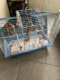 Large complete bird cage ready for use