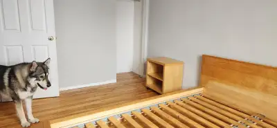 J'ai deux chambres à louer disponibles à partir de janvier et février 2026. Les chambres se trouvent...