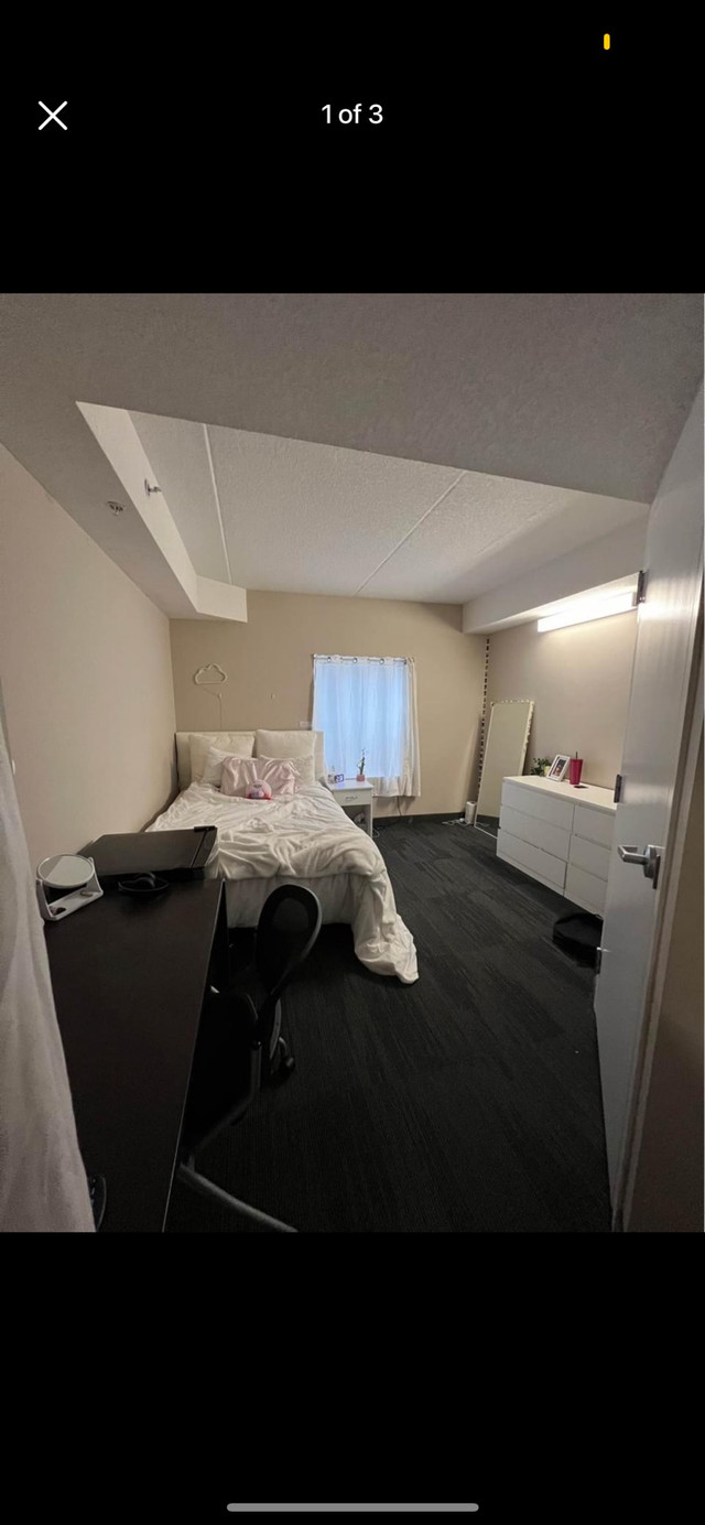 Looking for sublet for may-august 2024 in Room Rentals & Roommates in Kitchener / Waterloo