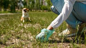 Dog poop picker upper service 2025